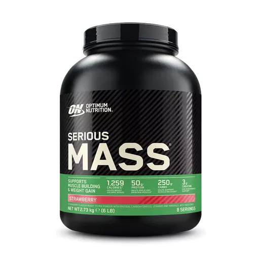 Optimum Nutrition High-Calorie Serious Mass Weight Gainer Protein Powder